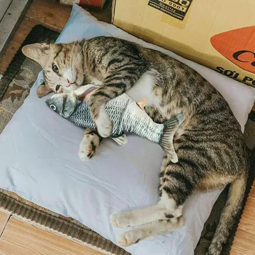 Juguete Para Gatos,pescado Movedizo - A Pedido_exkarg 6