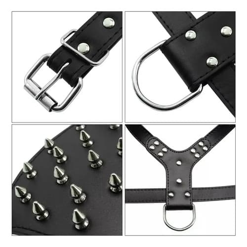 Juego De Collar Arnés Púas Pitbull Bulldog - A Pedido_exkarg X 4