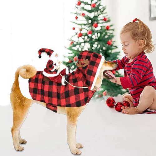 Disfraz Navideño Para Perro - A Pedido_exkarg 3