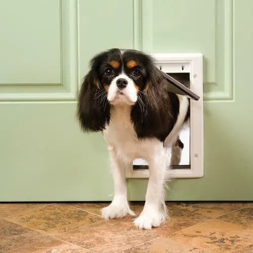 Puerta Para Mascotas Pet Safe - A Pedido_exkarg Blanco 2